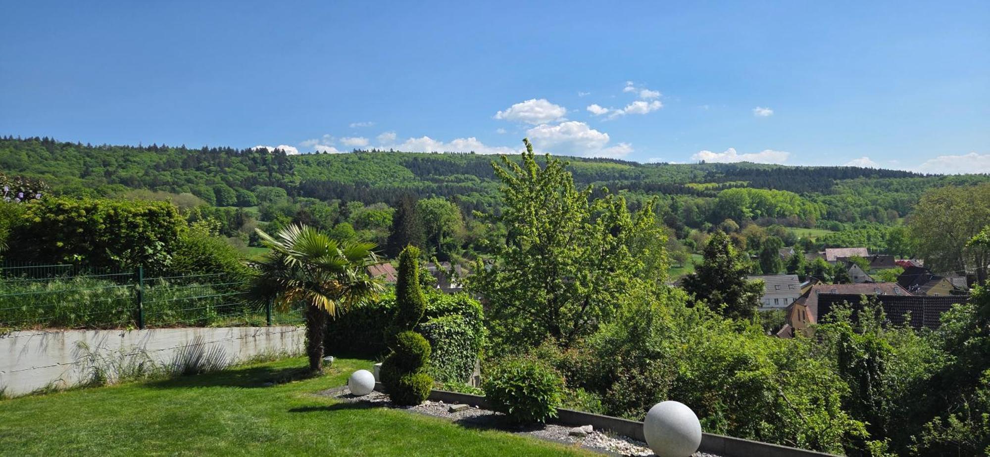 Ferienwohnung Schlossblick Kippenheim Esterno foto